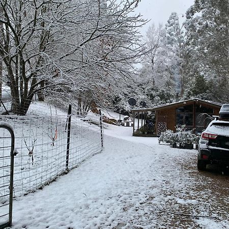 Alpine Ck Cabin And House Villa Merrijig Esterno foto